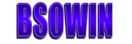 bsowin.net logo